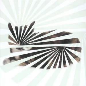 Poor aim : love songs